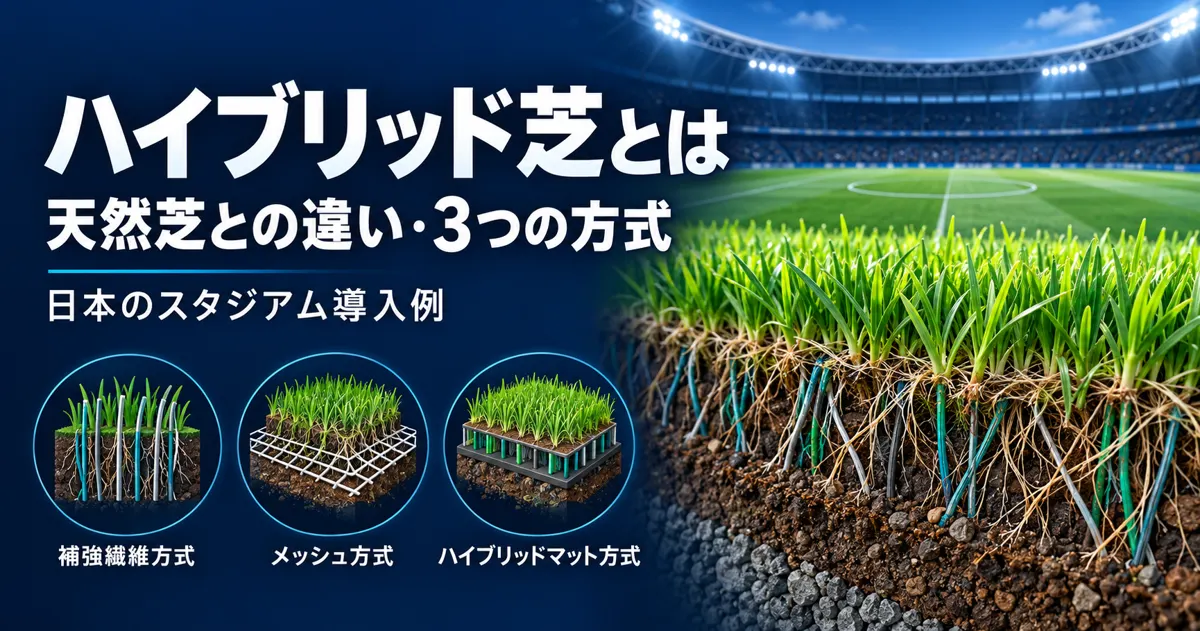 ハイブリッド芝とは｜天然芝との違い・3つの方式・日本のスタジアムの導入例
